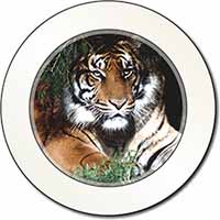 Bengal Tiger in Sunshade Car or Van Permit Holder/Tax Disc Holder