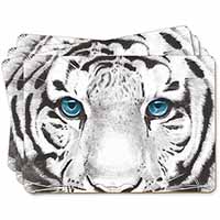 Siberian White Tiger Picture Placemats in Gift Box