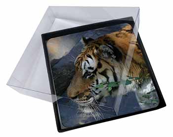 4x Bengal Night Tiger Picture Table Coasters Set in Gift Box