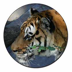 Bengal Night Tiger Fridge Magnet Printed Full Colour