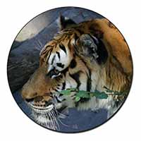 Bengal Night Tiger Fridge Magnet Printed Full Colour