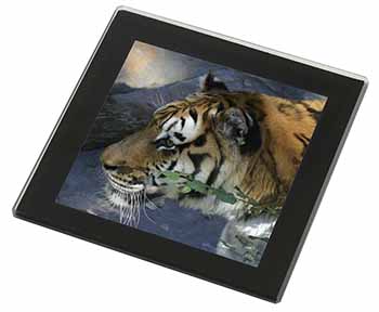 Bengal Night Tiger Black Rim High Quality Glass Coaster