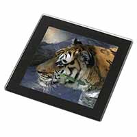 Bengal Night Tiger Black Rim High Quality Glass Coaster