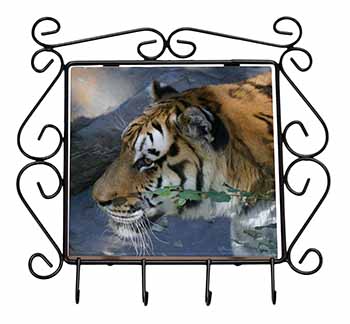 Bengal Night Tiger Wrought Iron Key Holder Hooks