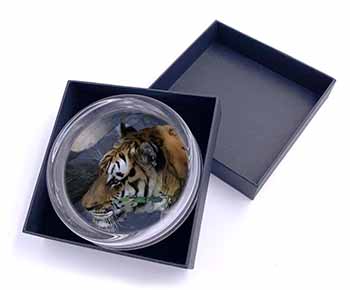 Bengal Night Tiger Glass Paperweight in Gift Box