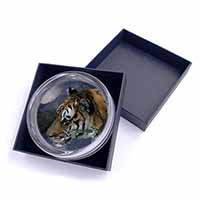 Bengal Night Tiger Glass Paperweight in Gift Box
