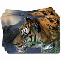 Bengal Night Tiger Picture Placemats in Gift Box
