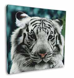 Siberian White Tiger Square Canvas 12"x12" Wall Art Picture Print