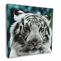 Siberian White Tiger Square Canvas 12"x12" Wall Art Picture Print