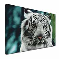 Siberian White Tiger Canvas X-Large 30"x20" Wall Art Print