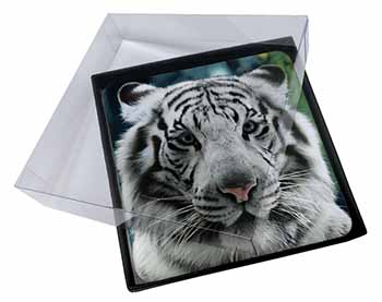 4x Siberian White Tiger Picture Table Coasters Set in Gift Box