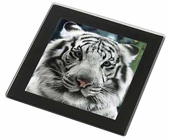 Siberian White Tiger Black Rim High Quality Glass Coaster