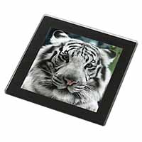 Siberian White Tiger Black Rim High Quality Glass Coaster