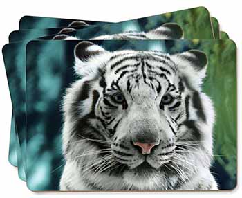 Siberian White Tiger Picture Placemats in Gift Box