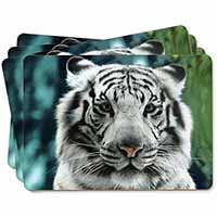 Siberian White Tiger Picture Placemats in Gift Box