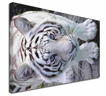 Siberian White Tiger Canvas X-Large 30"x20" Wall Art Print