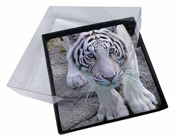 4x Siberian White Tiger Picture Table Coasters Set in Gift Box