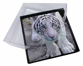 4x Siberian White Tiger Picture Table Coasters Set in Gift Box