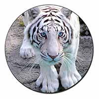 Siberian White Tiger Fridge Magnet Printed Full Colour