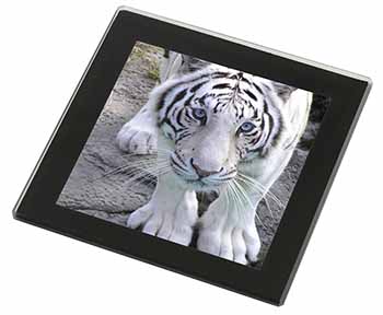 Siberian White Tiger Black Rim High Quality Glass Coaster