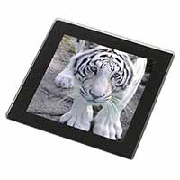 Siberian White Tiger Black Rim High Quality Glass Coaster