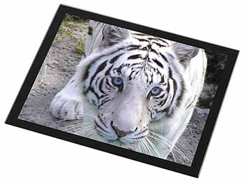 Siberian White Tiger Black Rim High Quality Glass Placemat