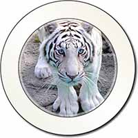 Siberian White Tiger Car or Van Permit Holder/Tax Disc Holder