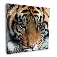 Bengal Tiger Square Canvas 12"x12" Wall Art Picture Print