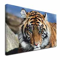 Bengal Tiger Canvas X-Large 30"x20" Wall Art Print