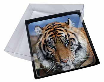 4x Bengal Tiger Picture Table Coasters Set in Gift Box