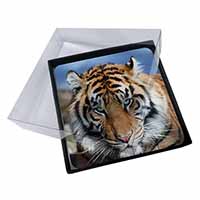 4x Bengal Tiger Picture Table Coasters Set in Gift Box