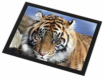 Bengal Tiger Black Rim High Quality Glass Placemat