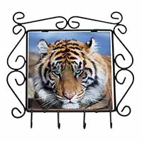 Bengal Tiger Wrought Iron Key Holder Hooks