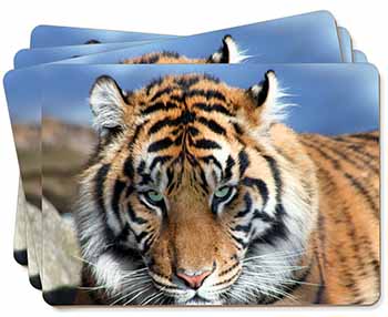 Bengal Tigers Set of 4 Placemats & Coasters 