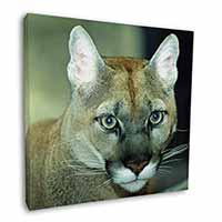 Stunning Big Cat Cougar Square Canvas 12"x12" Wall Art Picture Print