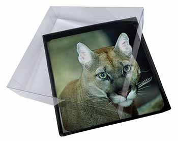 4x Stunning Big Cat Cougar Picture Table Coasters Set in Gift Box