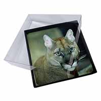 4x Stunning Big Cat Cougar Picture Table Coasters Set in Gift Box