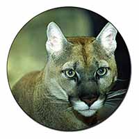 Stunning Big Cat Cougar Fridge Magnet Printed Full Colour
