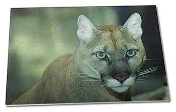 Large Glass Cutting Chopping Board Stunning Big Cat Cougar