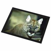 Stunning Big Cat Cougar Black Rim High Quality Glass Placemat