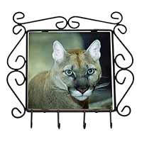 Stunning Big Cat Cougar Wrought Iron Key Holder Hooks