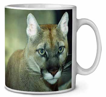 Stunning Big Cat Cougar Ceramic 10oz Coffee Mug/Tea Cup