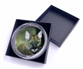 Stunning Big Cat Cougar Glass Paperweight in Gift Box