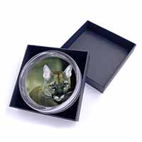 Stunning Big Cat Cougar Glass Paperweight in Gift Box