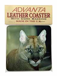 Stunning Big Cat Cougar Single Leather Photo Coaster