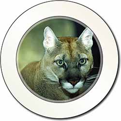 Stunning Big Cat Cougar Car or Van Permit Holder/Tax Disc Holder