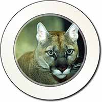 Stunning Big Cat Cougar Car or Van Permit Holder/Tax Disc Holder