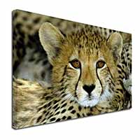 Baby Cheetah Canvas X-Large 30"x20" Wall Art Print