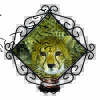 Baby Cheetah Wrought Iron Wall Art Candle Holder