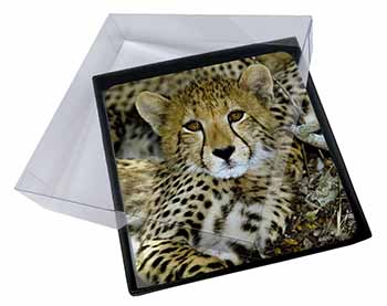 4x Baby Cheetah Picture Table Coasters Set in Gift Box